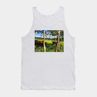 Scottish Highland Cattle Bulls 1771 Tank Top